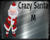 Crazy Santa Buddy M