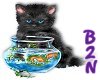 B2N-Black Cat Fishbowl