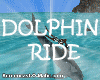 ! Dolphin Ride