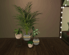 [V] PLANTS