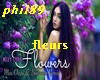 FLOWERS - Max Oazo remix