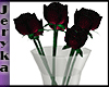 [JR] Dark Red Roses