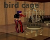 lasso bird cage