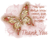 Hw: Thank you Butterfly