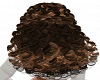 Elegant, long curly hair