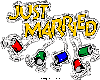 Just Married Cans