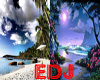 EDJ 2sided Paradise