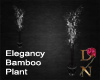 Elegancy Bamboo Plant