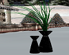 black vase 2