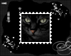 Cat Stamp 13