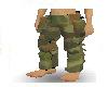 Australian Army Pants