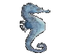 Blue & Gray Sea Horse