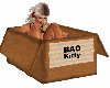 BAD Kitty Box
