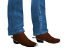 BROWN cowboy boots