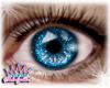 ShineShimmer Eyes Blue