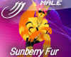 Sunberry Fur F