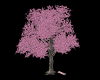 (VS) Sakura Tree Swing