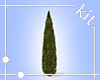 [Kit]Tree2