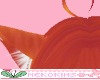 Cat Ears Ginger