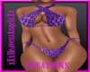 PurpleAnimalPrint Bikini