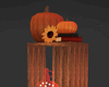 Halloween Fall Pumpkin