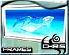 Frames - Dolphin Art