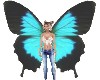 Butterfly Wings *Blue Au