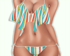 Summer Stripes Bikini