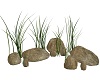 Rocks Grass