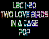 Two Love Birds ...