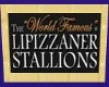 World Famous Lipizzan