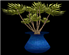 Blue Vase Plant