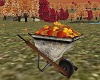 Autumn Cove Wheelbarrow