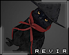 R║ Witch's Cat