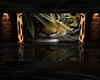 [♥] felines room