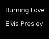 Burning Love Elvis Dub