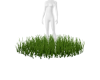  𝓒 Touch Grass