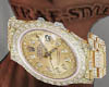 JDV Swiss Action Gents