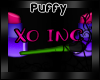 Xo Sign