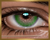 Serene Sea Green Male