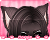 c; Mocha Ears 2