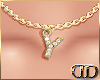 DD| Gold Necklace Y
