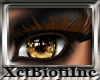 Attraction Eyelash Mix 3
