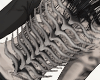 Exoskeleton - Spine