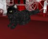 NT Black Kitty Cat