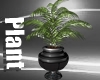 Plant Decoration (PALM)
