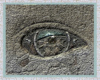 LT The Stone Eye