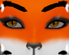 orange fox eyes F