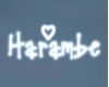 Harambe Wall Neon