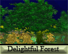 (A) Delightful Forest